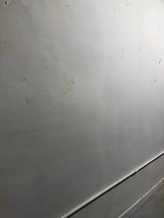 Customer photo of work by Crown Mold Specialists, from Hanmi Hanju Na's review