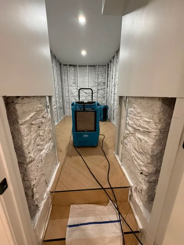 Crown Mold Specialists — photo from the business 10
