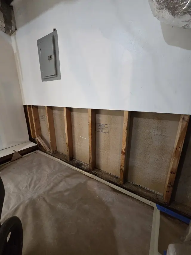 Crown Mold Specialists — photo from the business 7