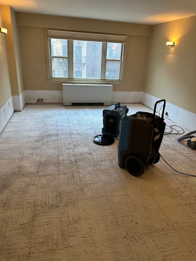 Crown Mold Specialists — photo from the business 11