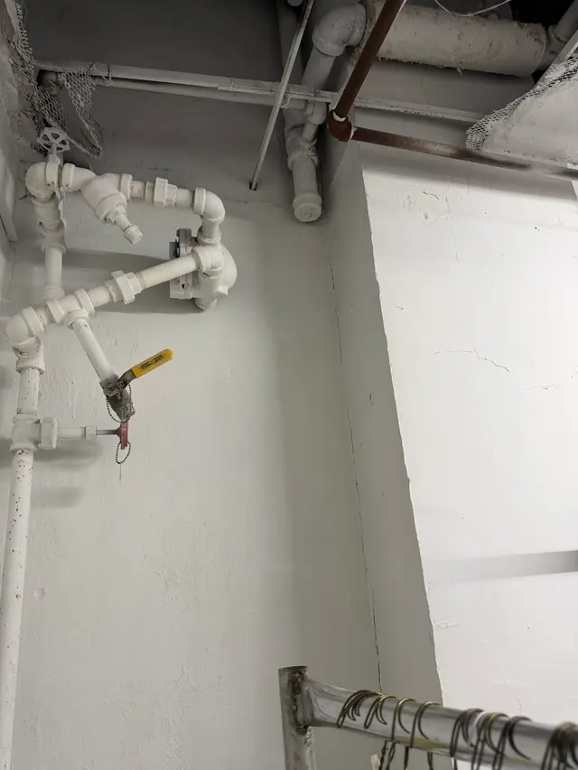 Customer photo of work by Crown Mold Specialists, from Hanmi Hanju Na's review