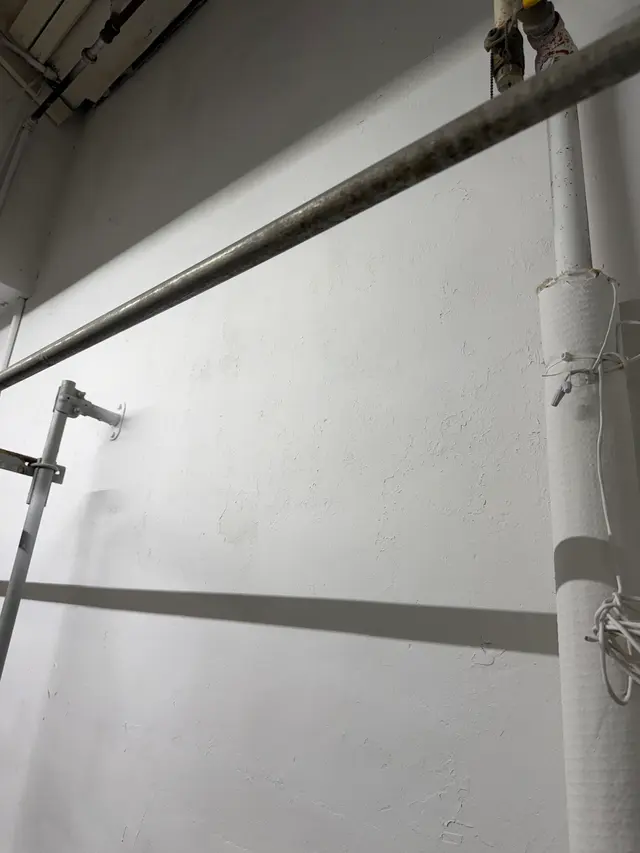 Customer photo of work by Crown Mold Specialists, from Hanmi Hanju Na's review