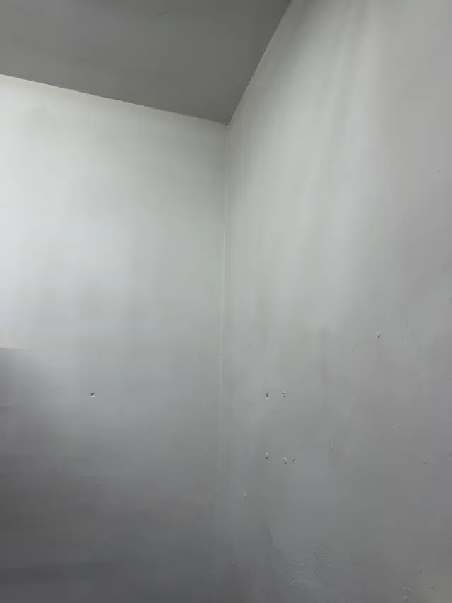 Customer photo of work by Crown Mold Specialists, from Hanmi Hanju Na's review