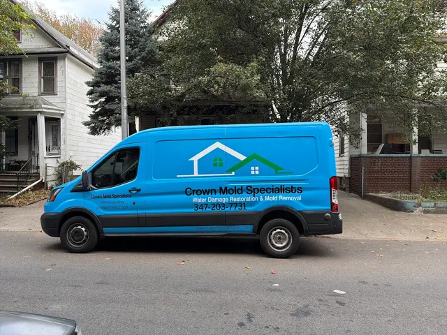 Crown Mold Specialists — photo from the business 6