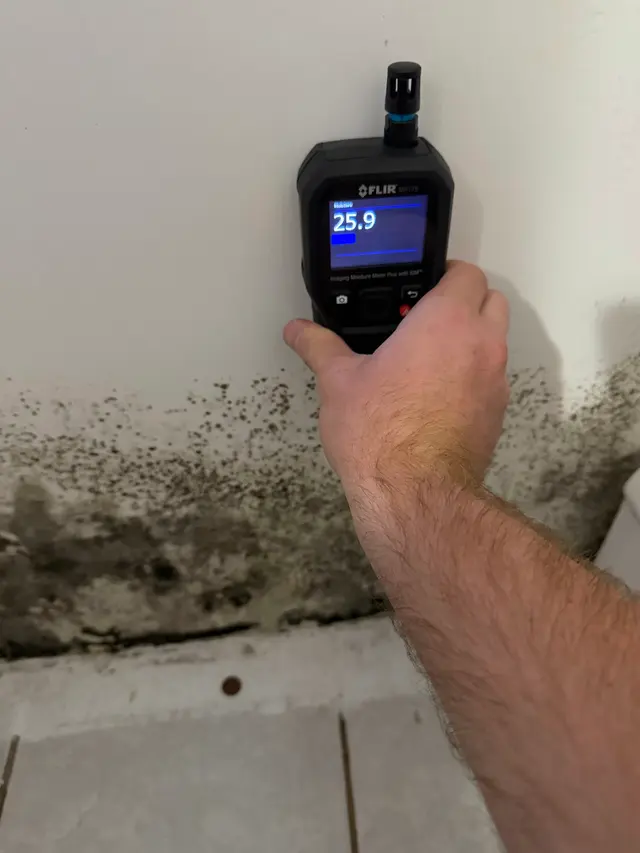Crown Mold Specialists — photo from the business 4