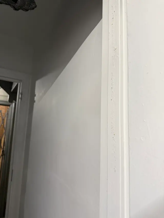 Customer photo of work by Crown Mold Specialists, from Hanmi Hanju Na's review