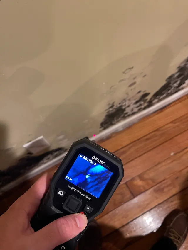 Alpha Mold Inspectors — photo from the business 11