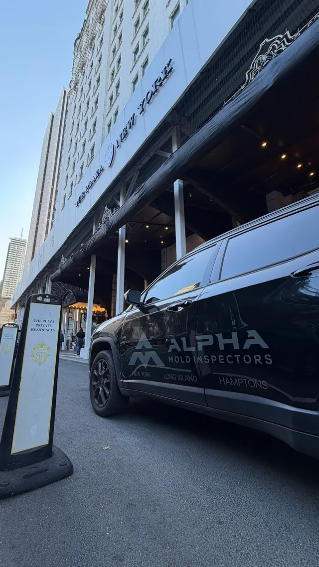 Alpha Mold Inspectors — photo from the business 1