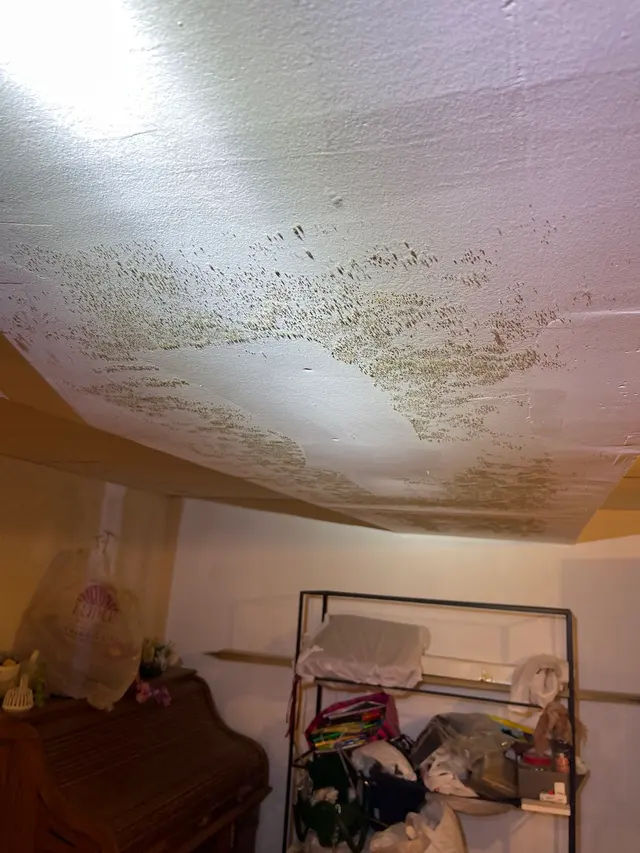 Alpha Mold Inspectors — photo from the business 12