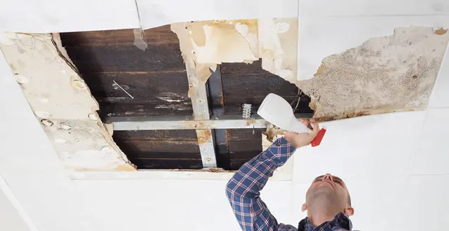Mold Testing NJ-NY — photo from the business 3