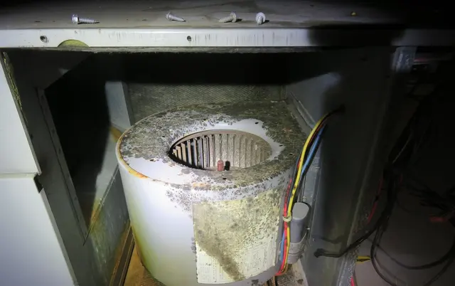 Mold Testing NJ-NY — photo from the business 10