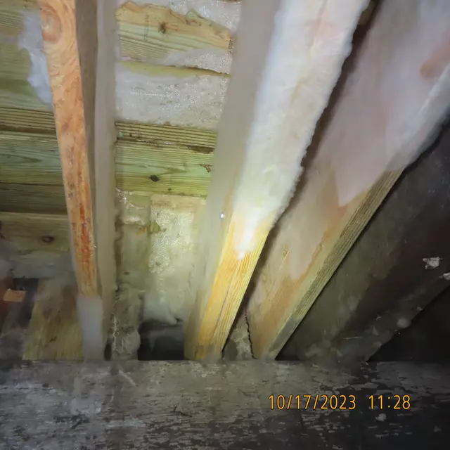 Mold Testing NJ-NY — photo from the business 1