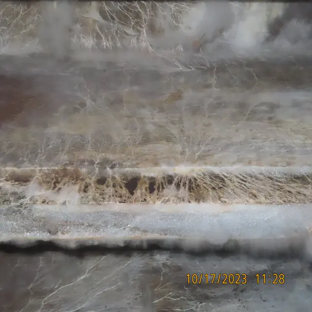 Mold Testing NJ-NY — photo from the business 11