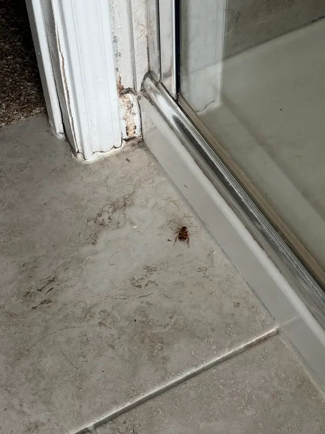 PURE HomeRiver Property Management of Texas — customer photo 12