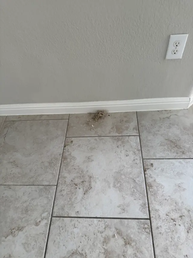 PURE HomeRiver Property Management of Texas — customer photo 8