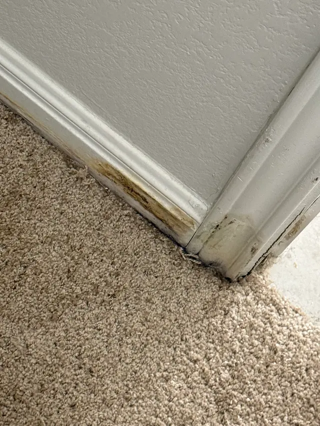 Customer photo of work by PURE HomeRiver Property Management of Texas, from Dejonae Hall's review