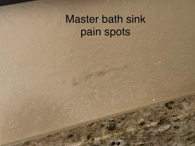 Bay Property Management Group Austin — customer photo 10