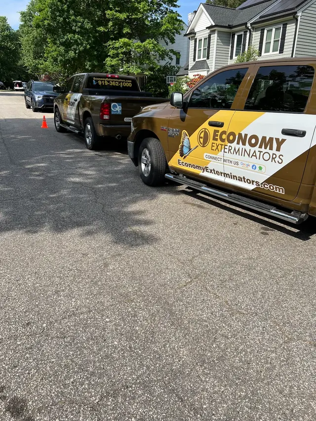 Economy Exterminators — photo from the business 2