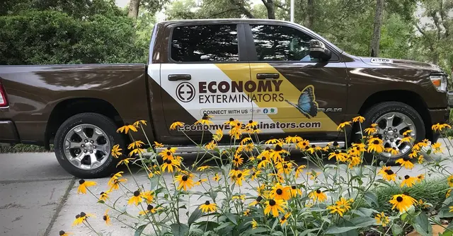 Economy Exterminators — photo from the business 1