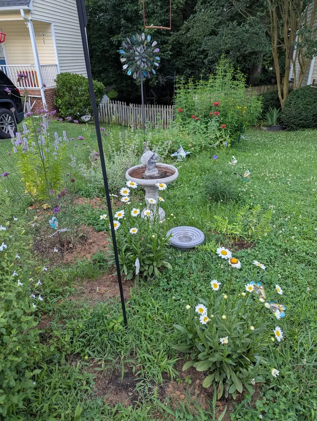 Customer photo from Bonnie's review