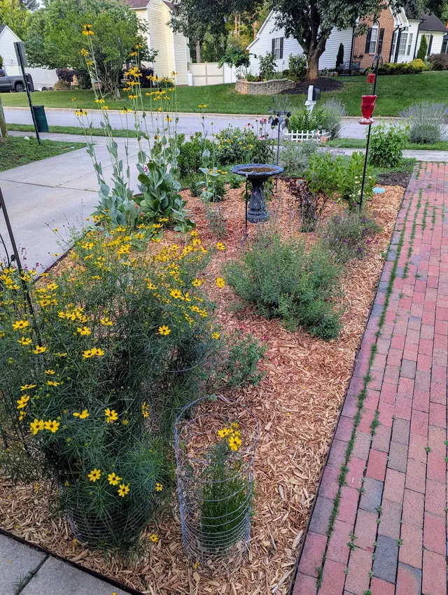 Kind Pest Control — customer photo 2