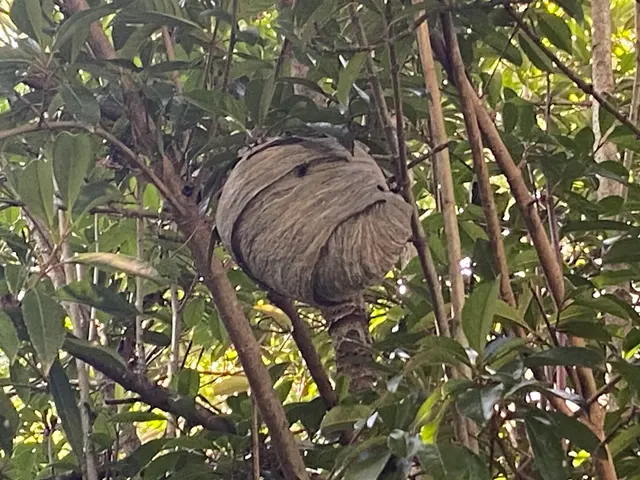 Kind Pest Control — customer photo 11