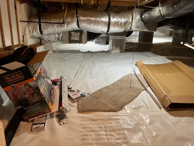Economy Exterminators — photo from the business 4