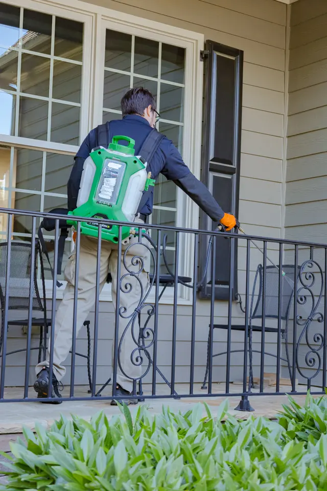 Pest & Termite Consultants — photo from the business 8