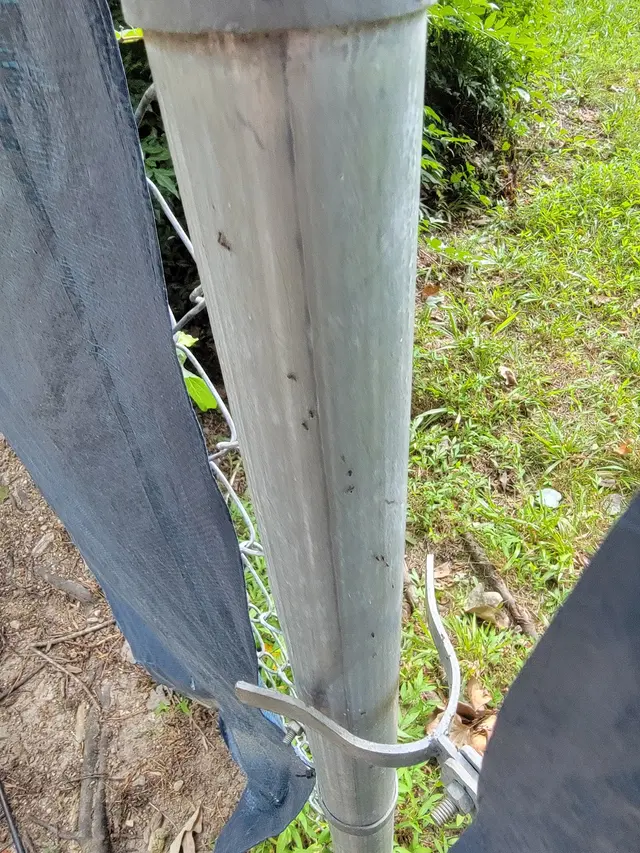 Customer photo from RICHmike's review
