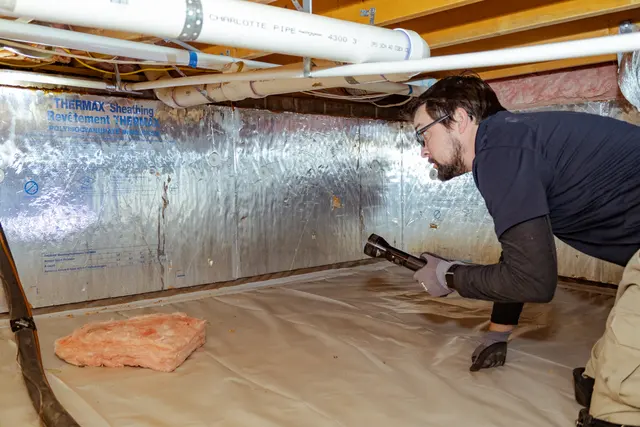 Pest & Termite Consultants — photo from the business 7
