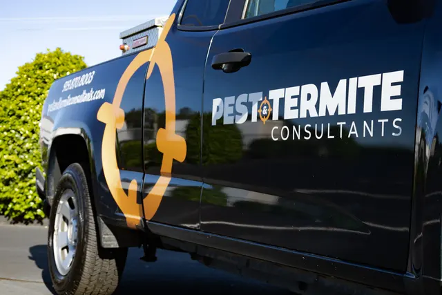 Pest & Termite Consultants — photo from the business 2