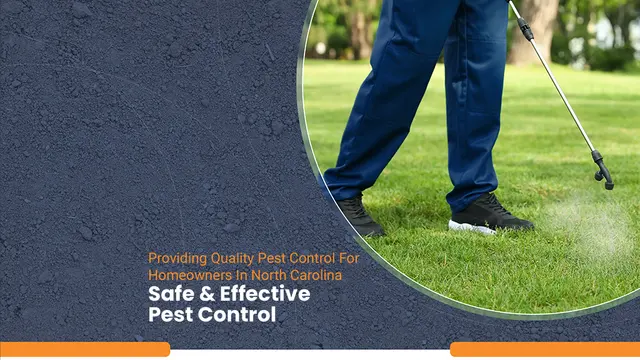 Pest & Termite Consultants — photo from the business 1