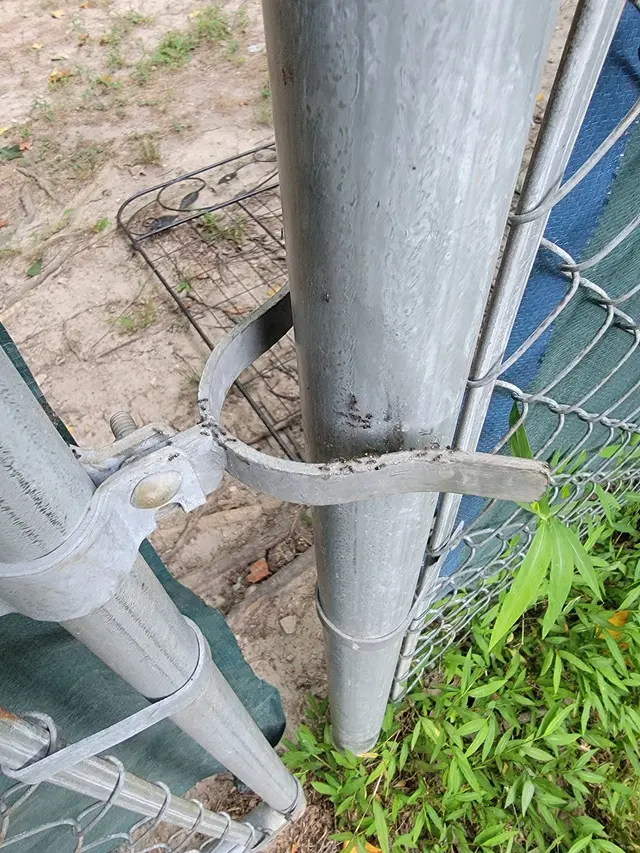 Customer photo from RICHmike's review