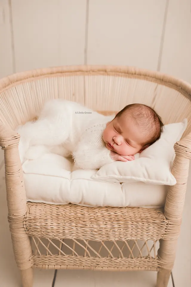 A Little Goose Newborn Photography — photo from the business 3