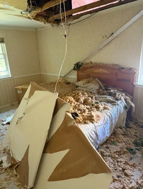 Customer photo of work by Water Damage & Restoration, from Scott Fedezko's review