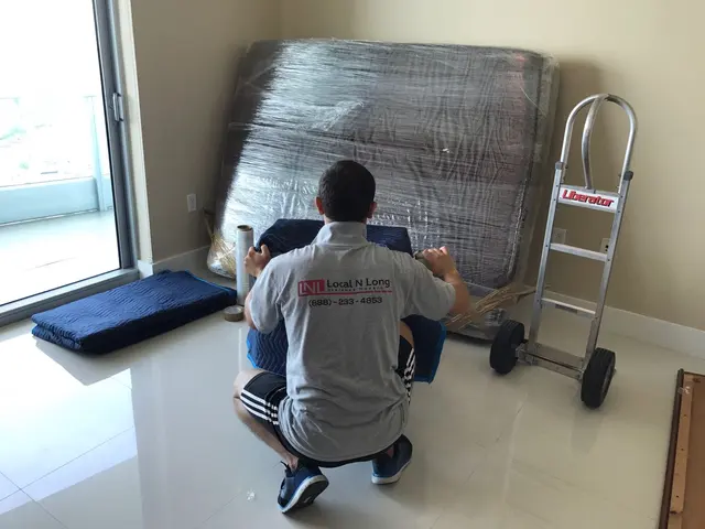 Local N Long Distance Movers — photo from the business 12