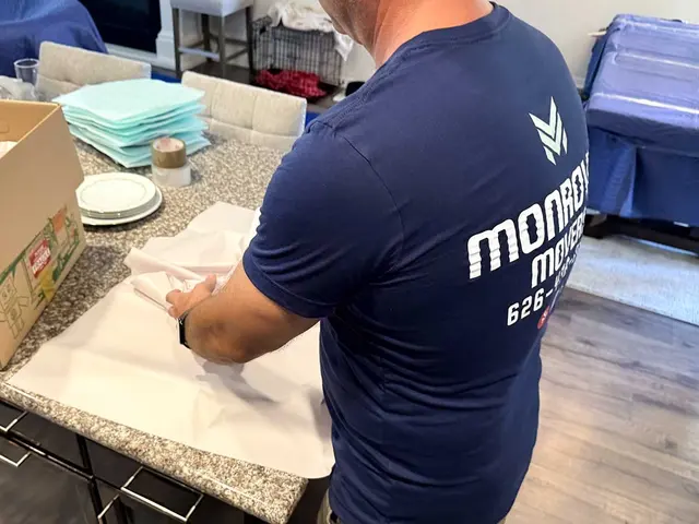 Monrovia Movers — photo from the business 4