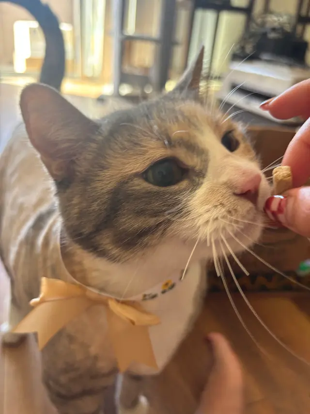 Customer photo from daisy's review