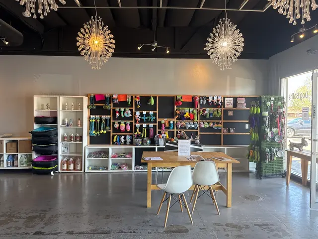 Point Loma Dog Salon N Spa — customer photo 6