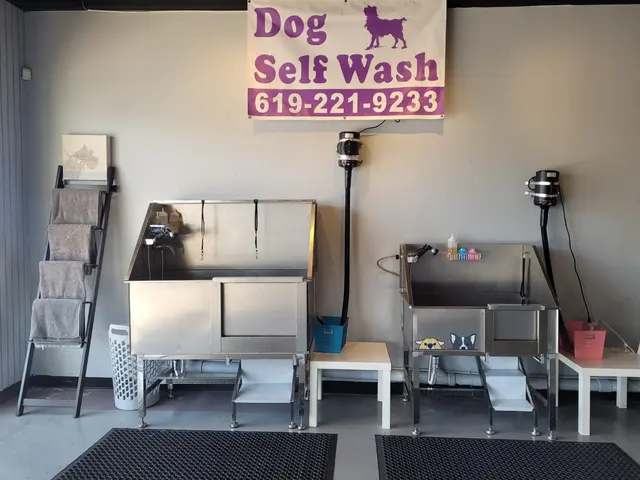 Point Loma Dog Salon N Spa — photo from the business 12