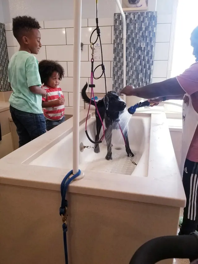 Dog Beach Dog Wash — customer photo 10