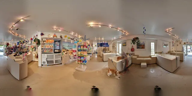 Dog Beach Dog Wash — customer photo 1