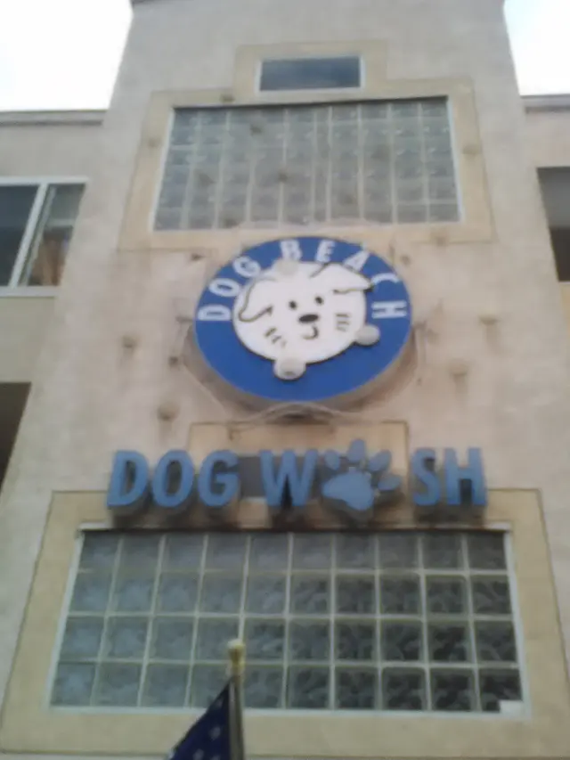 Dog Beach Dog Wash — customer photo 9