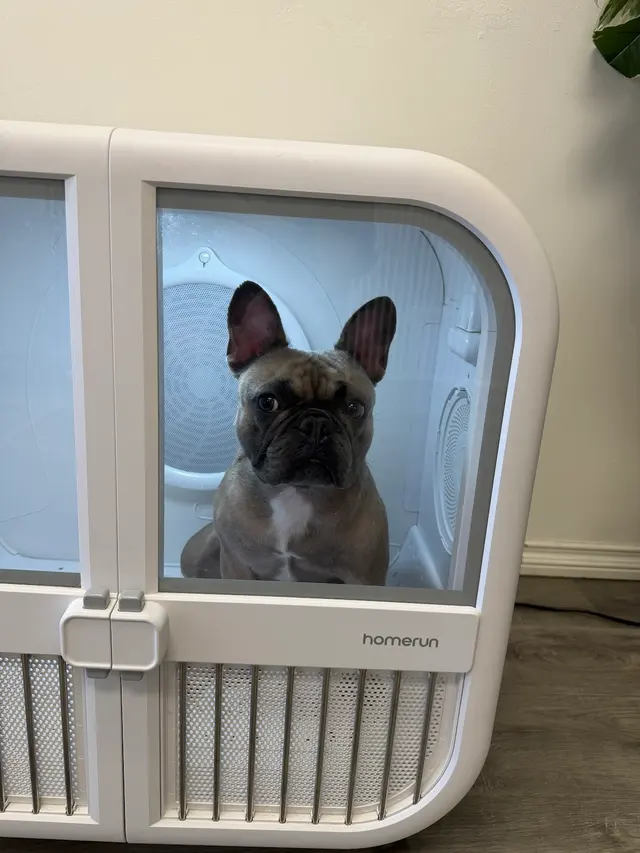 Pet Beloved — photo from the business 4