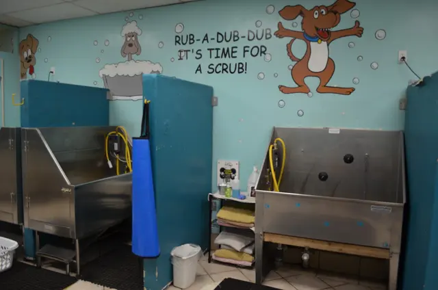 Dunk'N Dogs — photo from the business 12