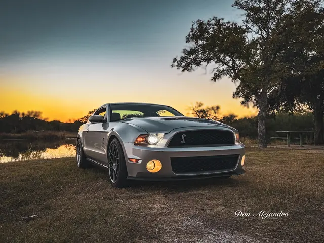 Customer photo from Alex's review