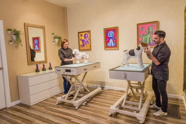 Mimo Grooming Studio - University Heights | Gabriel Feitosa — photo from the business 5