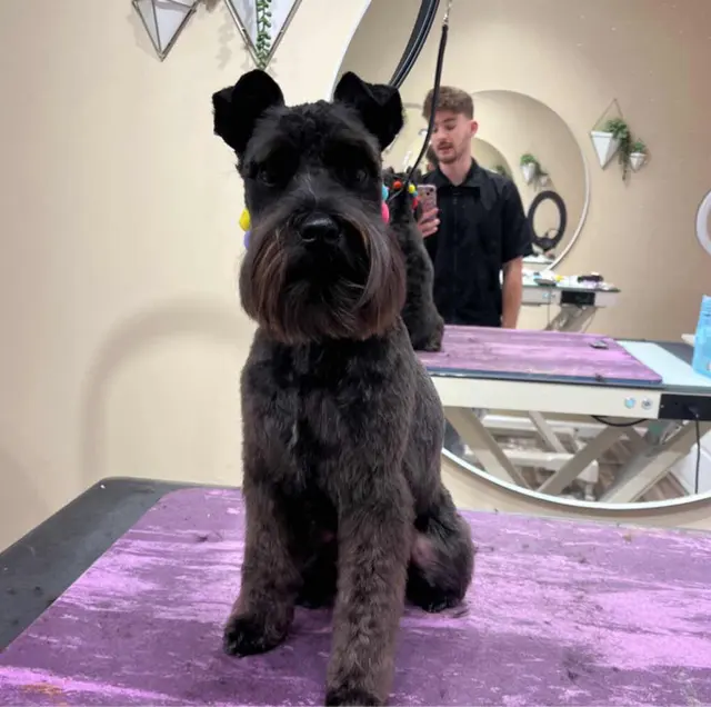 Mimo Grooming Studio - University Heights | Gabriel Feitosa — customer photo 11