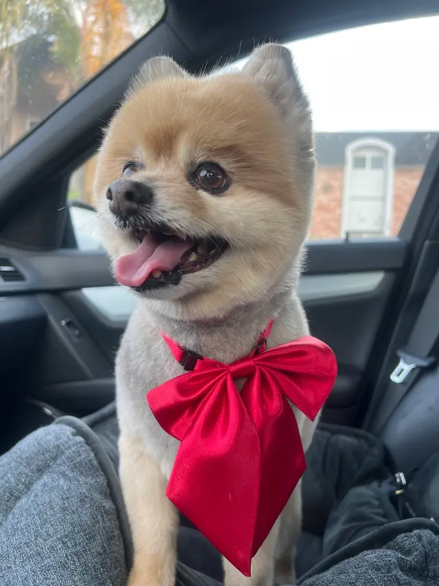 Customer photo from julio's review