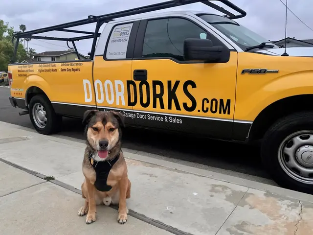 Door Dorks — photo from the business 1